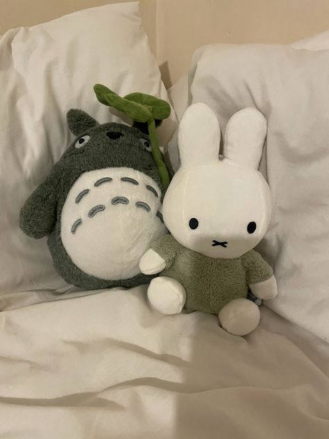 miffy and totoro Totoro Plush, My Neighbor Totoro, Cute Stuffed Animals, Cute Little Things, Cute Plush, 壁紙 かわいい, Soft Toys, الرسومات اللطيفة, 귀여운 동물