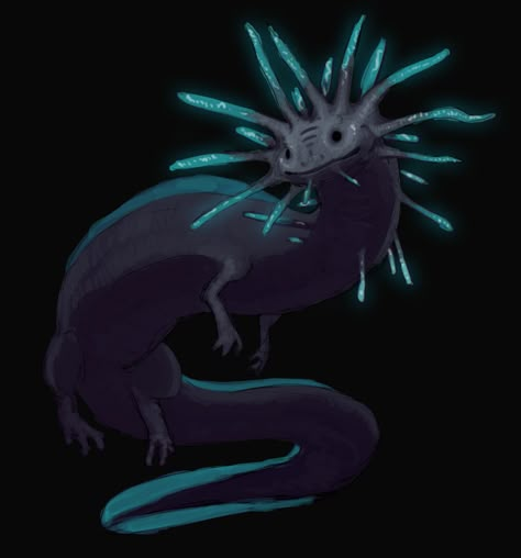 Kurt Rexrodt - Axolotl/Dragon Axolotl Dragon Drawing, Fey Dragon, Dnd Axolotl, Axolotl Oc, Axolotl Dnd Character, Axolotl Character Design, Monster Axolotl, Axolotl Character, Axolotl Character Art