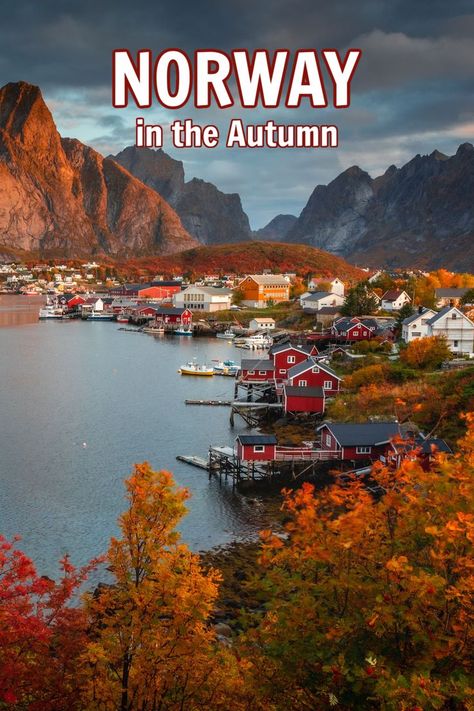 Autumn colours in Norway fall. Fall In Norway, Norway In October, Norway Travel Aesthetic, Norway October, Norway Autumn, Norway Honeymoon, Autumn In Europe, Norwegian Lifestyle, Norway Aesthetic