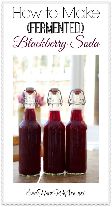 Let's Make Fermented Blackberry Soda! - And Here We Are Blackberry Soda, Homemade Soda, Probiotic Drinks, Water Kefir, Fermentation Recipes, Soda Recipe, Fermented Vegetables, Fermented Drink, Probiotic Foods