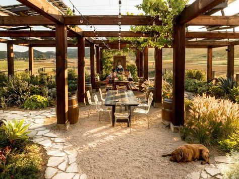 Outdoor Restrooms, Front Yard Inspiration, Wineries Architecture, Vineyard House, Yard Inspiration, Winery Tasting Room, Wine Vineyards, California Modern, Wine Region