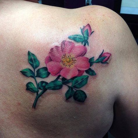 wild rose tattoo                                                       … Wild Roses Tattoo, Free Yourself Tattoo, Alberta Rose, Rose Vine Tattoos, Wild Rose Tattoo, Pink Rose Tattoos, Rose Flower Tattoos, Rose Drawing Tattoo, Tattoo Flowers