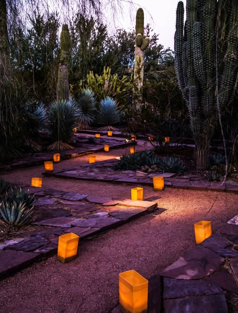 Photo credit: Desert Botanical Gardens in Phoenix, Arizona Arizona Desert Garden, Dessert Garden, Tiktok Dinner, Phoenix Party, Garden Hallway, Cactus Garden Landscaping, Zen Landscape, Arizona Attractions, Arizona Garden