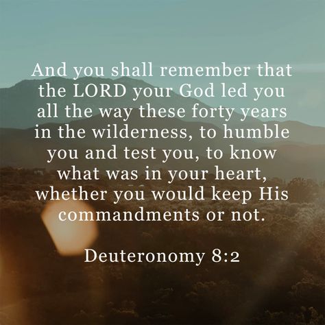 Through the Wilderness: Our Journey Through Life | What we can learn from the theme of wilderness in the bible, why it's so important to our spiritual lives. How God uses the wilderness as a place of separation, preparation, and surrender for His people, leading them toward the eternal Promised Land. #biblestudy #wilderness #spiritualtheme The Wilderness, Promise Land, Promise Land Quotes, Verses About Nature, Bible Verses About Nature Beauty, Bible Verse About Nature Beauty, Wilderness Scripture, Jesus In The Wilderness, Land Of The Living