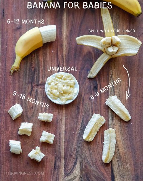 How To Baby Led Weaning, Weaning Foods 6 Months, Baby Led Weaning First Foods 6 Months No Teeth, Baby Led Weaning First Foods 9 Months, First Foods For 7 Month Old, Baby Led Weaning First Foods 6 Months Meal Ideas, How To Cut Food For Baby Led Weaning, Baby Lead Weaning 6months, Blw Recipes 5 Months