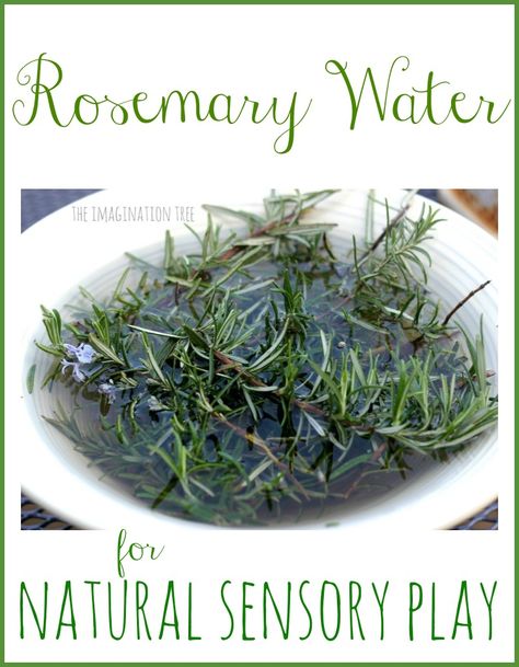 Rosemary Scented Water for Natural Sensory Play - The Imagination Tree Sensory Tubs, Rosemary Water, Imagination Tree, Sensory Garden, Calming Activities, Water Table, Herbal Hair, Mud Kitchen, Messy Play