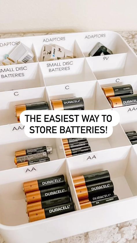 Ea Fuqua + Meg DeLong | Do you keep a supply of batteries on hand at all times?? ⠀ This is one of our favorite ways to store those batteries!! 🔋🪫🔋 ⠀ This lidded... | Instagram Ultimate Storage Ideas, Toilet Room Organization, Battery Organization Storage, Camera Gear Storage Ideas, Extreme Organization Ideas, Catch All Room Organization, Organizing Holiday Decorations, New Apartment Organization Ideas, Office Storage Room Organization