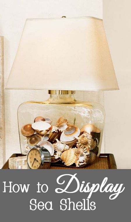 After your beach vacation, you probably came home with a collection of sea shells.   But what do you do with them instead of keeping them in a box in the top of your closet?   Here are some ideas for displaying your sea shells. Decorating With Sea Shells, Sea Shell Collection Display, Display Shells From Beach, How To Display Shells From The Beach, Shell Display Ideas Jars, Ideas For Shells From The Beach, How To Display Sea Shells, How To Display Shells, Shell Display Ideas