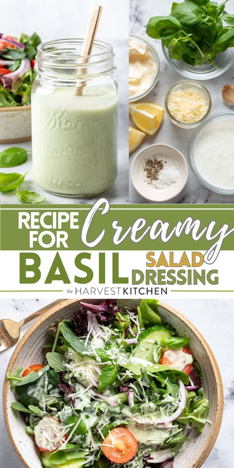 This Basil Buttermilk Dressing is made with fresh basil, garlic, lemon juice, Parmesan cheese, buttermilk and mayonnaise. It’s super easy to make and the flavor is amazing! If you love the taste of basil pesto, this dressing is for you! Buttermilk Basil Dressing, Basil Garlic Salad Dressing, Basil Recipes Salad, Basil Mayonnaise Recipe, Basil Ideas, Recipes With Basil, Basil Mayonnaise, Basil Salad Dressing, Basil Vinaigrette Dressing