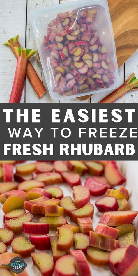 Learn all about freezing rhubarb to preserve this delicious short-season vegetable. A freezer stash of frozen rhubarb is great for creating amazing desserts and other dishes all year long. Can You Freeze Rhubarb, Freezing Rhubarb, Freeze Rhubarb, Homemade Fruit Leather, Growing Rhubarb, Preserving Recipes, Strawberry Rhubarb Crisp, Seasonal Eating, Rhubarb Crisp