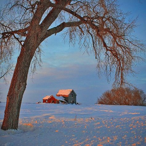 Tuolumne Meadows, Barn Painting, Autumn Scenes, Winter Scenery, Winter Beauty, Energy Work, Old Barns, Winter Pictures, North Dakota