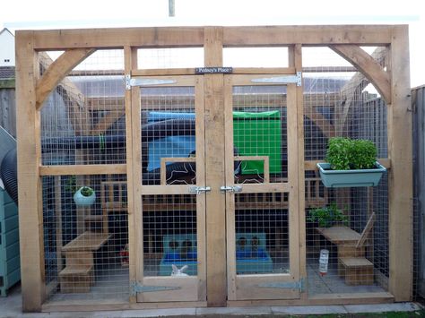 The Bun Run Project - * More pics added - Rabbits United Forum Guinea Pig Run, Outdoor Pet Enclosure, Shed Of The Year, Bunny Room, Wendy House, Cat Sanctuary, Pet Enclosure, House Shed, Rabbit Hutches