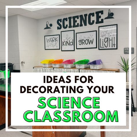 Do you teach science? Today, on the blog, I'm sharing ideas and inspiration for decorating your science classroom. Middle School Science Decor, Science Room Decor, Biology Activities, Life Science Classroom, High School Science Classroom, Elementary Science Classroom, Deductive Reasoning, Bear Scouts, Sixth Grade Science