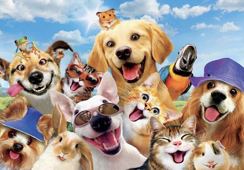 🐾 Funny Dog Paintings, Pet Salon Ideas, Funny Photo Poses, Dog Birthday Wishes, Happy Birthday Dogs, Jigsaw Puzzles For Kids, Best Selfies, 500 Piece Jigsaw Puzzles, Funny Photo