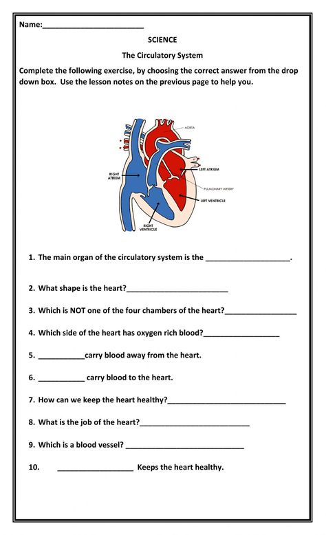 Circulatory System Notes, Circulatory System Worksheets, Heart Circulatory System, Cardiac System, Circulatory System Activities, Health Vocabulary, Medical Room, Nursing School Studying Cheat Sheets, Percentages Math