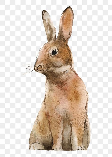 Hare Illustration, Watercolor Rabbit, Rabbit Png, Graphic Design Jobs, Nature Collage, Bunny Png, Animal Png, Graphic Design Fonts, Logo Gallery