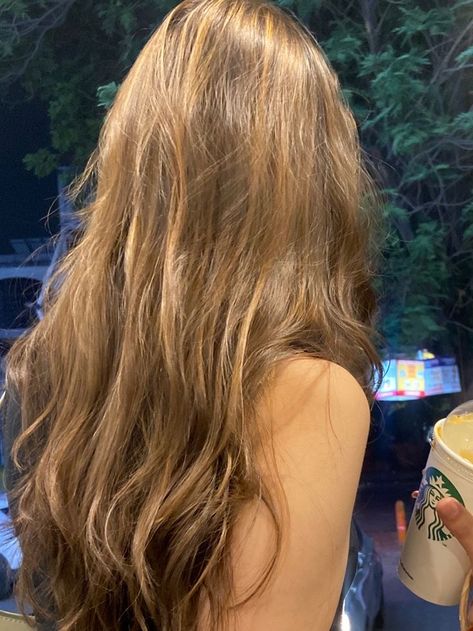 Brown Hair Inspiration, Brown Wavy Hair, Rambut Brunette, Golden Brown Hair, Honey Brown Hair, Hair Color Light Brown, Honey Hair, Hair Inspo Color, Light Hair