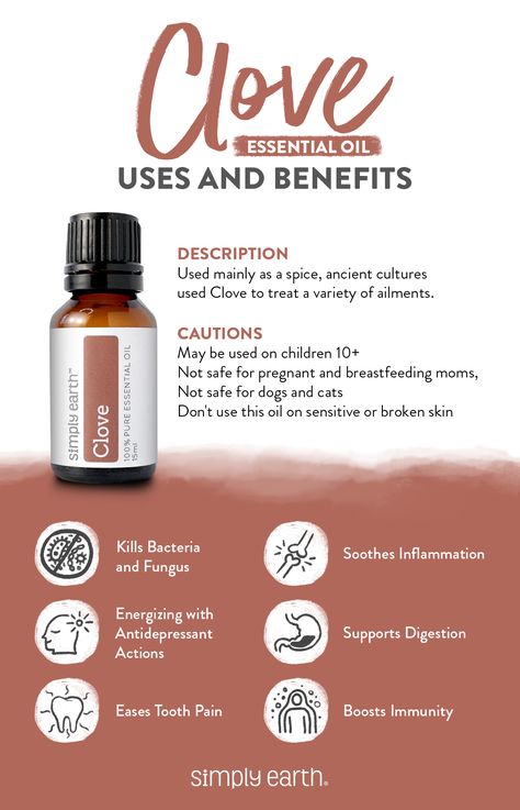 Everyone loves the smell of clove.  Katie loves adding clove spice to apple cider. Its smell is amazing and gives her all the feelings of a beautiful mid-western fall. 🍂  Check out this video for the second oil included in the September Simply Earth Essential Oil Recipe Box! 🤩🤩🤩  Oil #2: Clove Essential Oil 😁 Warms mind and body 🧐 Improves focus 🙌 Promotes confidence 💪 Helps fight seasonal illnesses Clove Essential Oil Uses, Clove Essential Oil Blends, Clove Essential Oil Benefits, Benefits Of Clove Oil, Clove Oil Uses, Clove Oil Benefits, Camphor Oil, Simply Earth, List Of Essential Oils