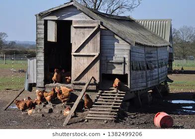 Vintage Chicken Coop, Old Chicken Coop, Chicken Images, Poultry House, Chicken Coup, Vintage Chicken, Grandma's House, Hen House, Chicken Coops