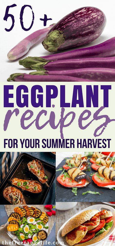 Sauteed Eggplant Recipes, Grilled Eggplant Recipes, Baked Eggplant Recipes, Eggplant Recipes Healthy, Roasted Eggplant Recipes, Sauteed Eggplant, Eggplant Recipes Easy, Recipes For The Whole Family, Eggplant Dishes