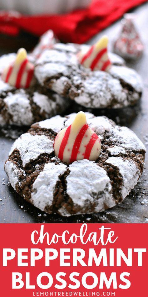 Peppermint Blossoms, Kiss Cookie Recipe, Chocolate Kiss Cookies, Mint And Chocolate, Easy To Make Cookies, Chocolate Crinkle, Blossom Cookies, Kiss Cookies, Gluten Free Christmas