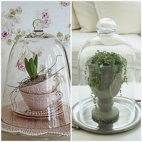 Glass Dome Ideas, Glass Cloche Ideas, Cloche Styling, Glass Cloche Decor, French Glam, Cloche Ideas, Cloche Decor, Cloche Domes, Delicious Deserts