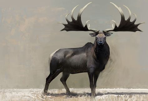 Megaloceros giganteus by Ville Sinkkonen Stone Age Animals, Megaloceros Giganteus, Irish Elk, Deer Species, Prehistoric Wildlife, Ancient Animals, Paleo Art, Extinct Animals, Dinosaur Fossils