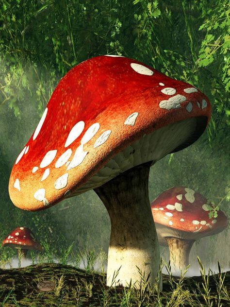 Mystic Mushroom by deskridge Mystic Mushroom, Digital Art, Forest, Green, Art