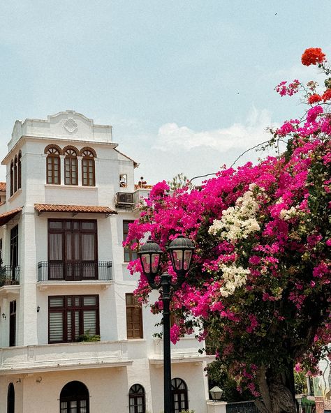 summer in casco viejo panama city - must visit in panama #panamatravel Panama City Aesthetic, Panama Photography, Panama Aesthetic, Panama Travel, 2025 Vision, Panama City, North America Travel, Panama City Panama, City Aesthetic