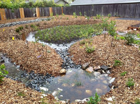 Rainwater Collection Pond, Stumpery Garden Ideas, Rainwater Management, Allotment Planning, Icon Reference, Sicily House, The Roof Of The House, Desert Gardening, Water Harvesting