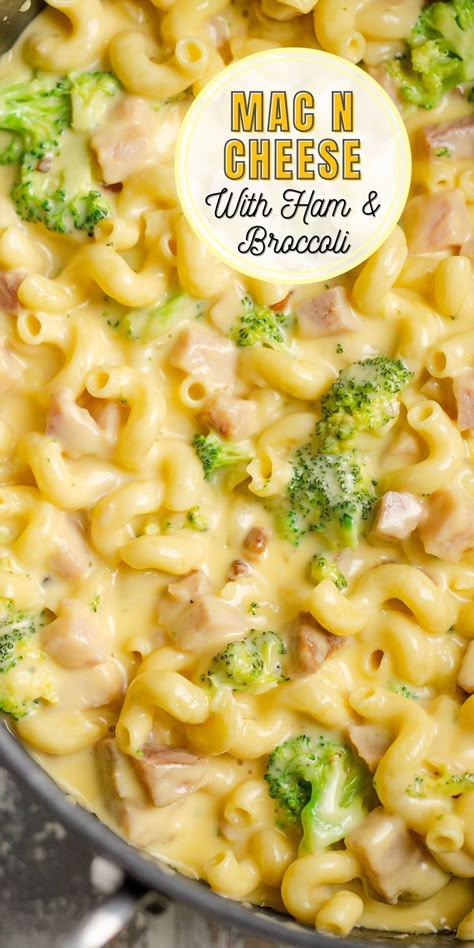 This rich and delicious Mac and Cheese with ham and broccoli is a family friendly recipe packed with pasta, leftover ham and vegetables and topped with baked breadcrumbs. Your kids will be begging for more! Ham And Cheese Mac And Cheese, Broccoli Ham Mac And Cheese, Ham Broccoli Pasta, Ham And Mac And Cheese Casserole, Leftover Ham And Broccoli Recipes, Ham And Broccoli Mac And Cheese, Kids Vegetable Recipes, Ham And Cheese Pasta Bake, Leftover Ham Crockpot Recipes