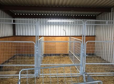 Northeast Gate Co. Portable Goat and Sheep Panels Goat Stalls In Barn, Bison Farming, Goat Stalls, Barn Blueprints, Goat Pens, Trailer Upgrades, Goat Hay Feeder, Sheep Shelter, Sheep Barn