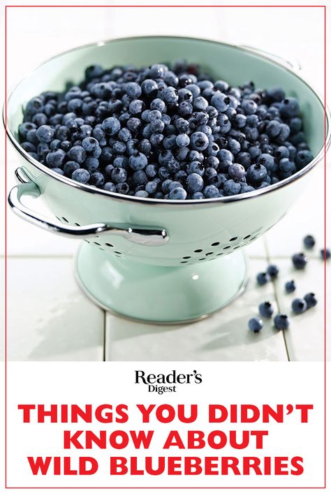 What's there to know about the humble wild blueberry? Lots, as it turns out! Here are five facts about wild blueberries that will change the way you think—and eat. Wild Blueberry Benefits, Wild Blueberry Recipes, Blueberry Benefits, Morning Smoothie Recipes, Highbush Blueberry, Fall Produce, Blueberry Season, Morning Smoothie, Blueberry Recipes