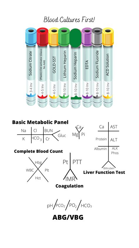 Clinical Pathology Laboratory, Phlebotomy Study Cheat Sheets, Phlebotomy Study Notes, Phlebotomy Notes, Phlebotomy School, Lab Technologist, Surgical Technologist Student, Phlebotomy Study, Medical Laboratory Science Student