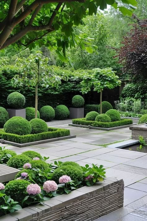 Modern Garden Design Ideas, Boxwood Landscaping, Tiny Garden Ideas, Parterre Garden, Tiny Garden, French Country Garden, Back Garden Design, Coastal Gardens, Modern Garden Design