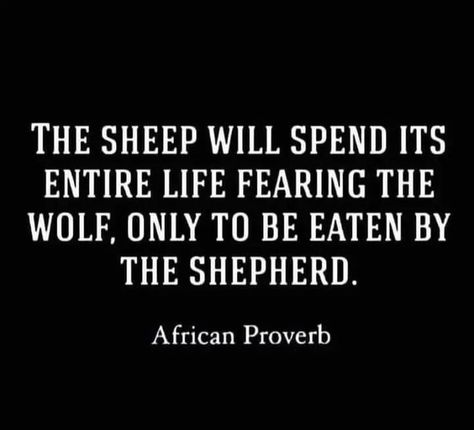 African Proverb, Wake Up Call, The Shepherd, Reality Check, Proverbs, Quotes