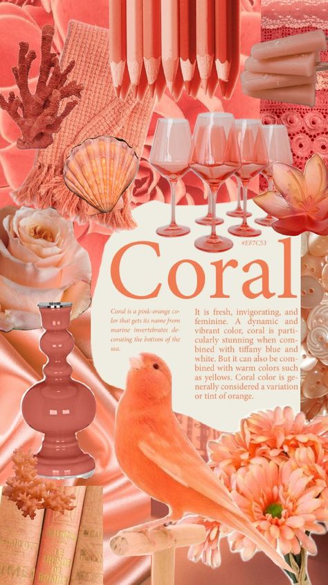 #coral Coral Color Aesthetic, Mint Butter, Coral Aesthetic, Coral Color Schemes, Cowgirl Barbie, Widget Aesthetic, Girl Scout Camping, Coral Wallpaper, Color Collage