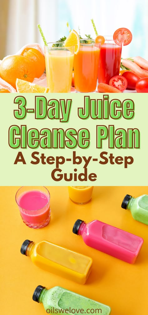 Juice Cleanse Plan, 3 Day Juice Cleanse, Low Salt Diet, Healthy Juicer Recipes, Detox Juice Cleanse, Juice Cleanse Recipes, Detox Juice Recipes, Cleanse Diet, Juicer Recipes