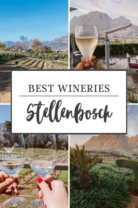 Stellenbosch is one of the most incredible wine regions I've ever been to. Check out this post for some of my favorite Stellenbosch wineries. Stellenbosch Wineries, South African Wine, Different Wines, Wine Tour, Wine Region, Tasting Room, My Trip, Africa Travel, Wine Tasting