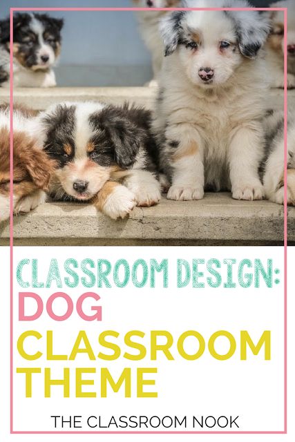 Create a dog theme classroom with these tips for dog theme bulletin board displays, dog theme accessories, printable dog theme classroom decor and more! #classroomdesign #classroomdecorations #backtoschool #teacher #classroom Pet Shop Classroom Theme, Dog Bulletin Board Ideas, Pet Classroom Theme, Dog Theme Classroom Ideas, Dog Themed Bulletin Board Ideas, Puppy Classroom Theme, Christian Kindergarten, Classroom Dog Theme, Paw Print Classroom Theme