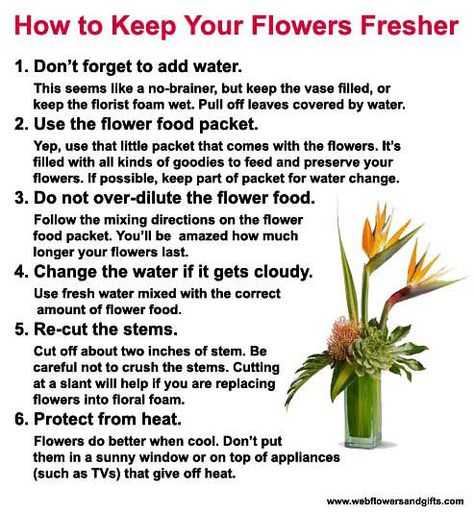 Good list for sharing with floral customers online or to print out!  Keep your flowers fresher, longer. from our friends at www.webflowersandgifts.com. #fresh #flowers #florist #tips Florist Tips And Tricks, How To Keep Flowers Fresh Longer, Florist Business Plan, Florist Tips, Floristry Techniques, French Flower Bucket, Become A Florist, Flower Workshop, Flower Tips