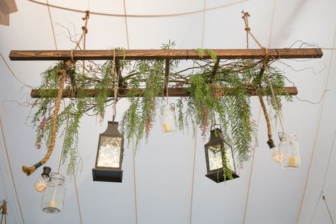 Hanging Ladder From Ceiling, Hanging Ladder Decor, Ladder Plant Hanger, Rustic Ladder Decor, Plant Ladder, Hanging Ladder, Ladder Ideas, Rustic Ladder, Wooden Ladder