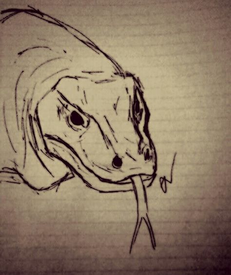 The komodo dragon Komodo Dragon Sketch, Komodo Dragon Drawing, Komodo Dragon Art, Comodo Dragon, Nature Sketches, Animal Drawings Sketches, Nature Sketch, Dragon Sketch, Komodo Dragon