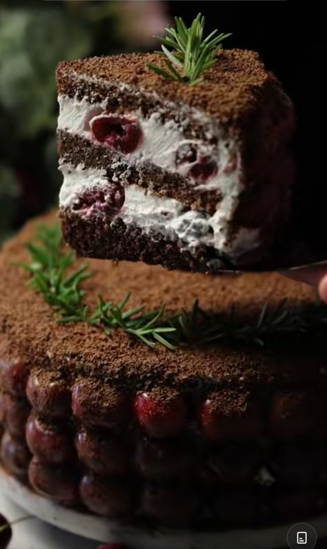 Black Forest Cherry Cake, Rum Syrup, Mirror Glaze Recipe, Cherry Compote, Cocoa Cake, Cake Filling Recipes, Cherry Syrup, Decorate A Cake, Cake Filling