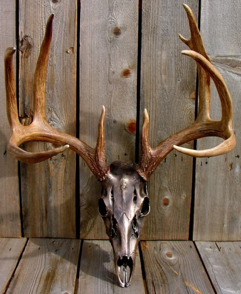 skull art Deer Horns Decor, Buck Mounts, Deer Mount Ideas, Antler Projects, Antler Ideas, Deer Antler Decor, Horns Decor, European Mount, Tattoo Animal