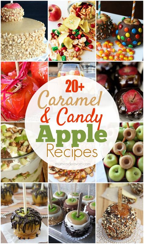 20+ Delicious caramel & candy apple recipe ideas! Carmel Apple Recipe, Caramel Apple Treats, Gourmet Candy Apples, Gourmet Caramel Apples, Candy Apple Recipe, Caramel Apples Recipe, Gourmet Apples, Apple Treat, Cinnamon Candy