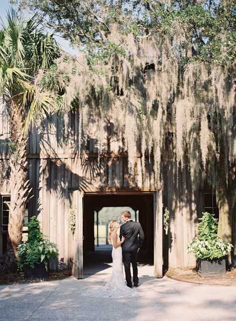 Charleston Sc Elopement, Bluffton Sc Wedding, Wedding Venues In South Carolina, Charleston South Carolina Wedding Venues, Wedding Venue South Carolina, Southern Wedding Ideas, Charleston Elopement, Hibernian Hall Charleston Wedding, Brookgreen Gardens South Carolina Wedding