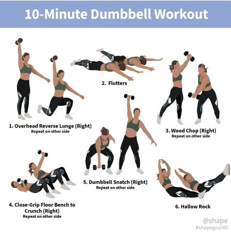 Single Dumbbell Workout, Dumbell Weights, Teacher Workout, Exercises At The Gym, Dumbbell Full Body Workout, Dumbbell Workouts For Women, Weighted Workouts, Dumbbell Ab Workout, Weekly Gym Workouts