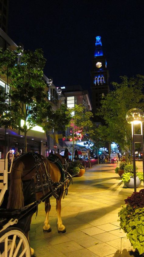 A perfect night for a horse and buggy ride - 16th Street Mall in Denver, Colorado. Denver Nightlife, Denver Colorado Skyline, Colorado Girl, Colorado Plateau, Street Mall, Mile High City, Long Way Home, Horse And Buggy, Downtown Denver