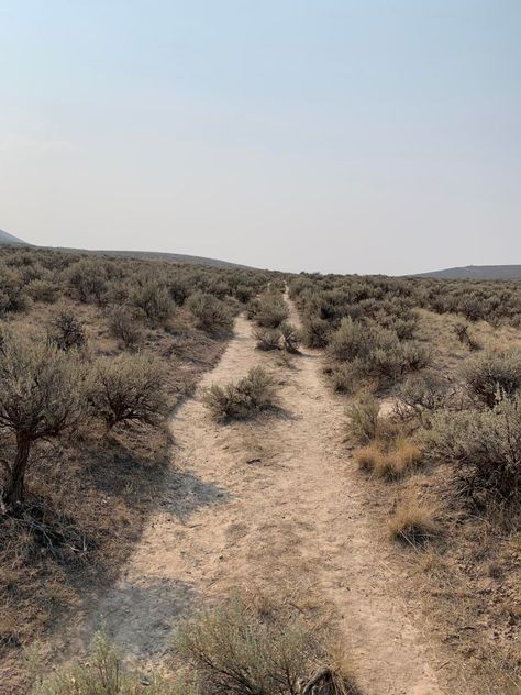 Wagon wheel ruts in the desert Oregon Trail Aesthetic, Oregon Trail History, Oregon Trail Pioneers, Framing Pictures, Barns Courtney, Ventura Highway, Medieval Fairytale, Sister Golden Hair, Air America